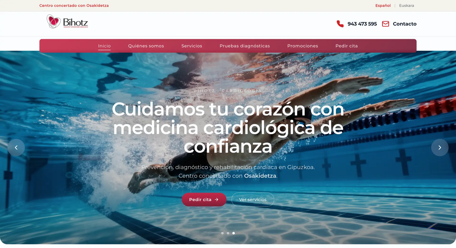 Captura de la web de BIHOTZ